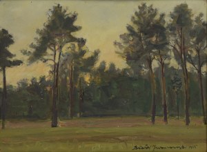 Błażej IWANOWSKI (1889-1966), Polana, 1953