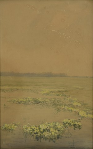 Józef RAPACKI (1871-1929), Kaczeńce, 1924