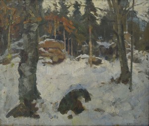 Teodor ZIOMEK (1874-1937), Las zimą, 1900?