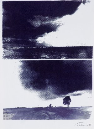 Jan Tarasin, PEJZAŻ (dwa kadry), 1990