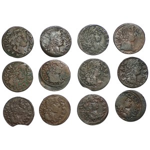 John II Casimir, Set of Lithuanian shekels 1661-66