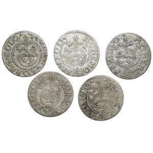 Sigismondo III Vasa, serie di semicingolati 1624-27, Bydgoszcz