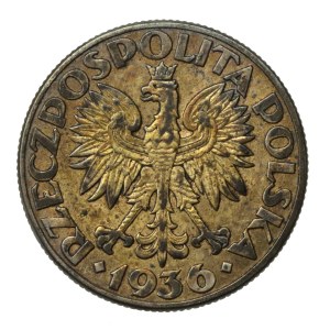 II RP, 2 złote 1936 Żaglowiec (960)