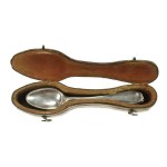 Set of 6 spoons in decorative case, fine silver, 19th century (172)