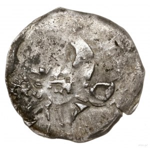 Parwus (1/4 kwartnika), 1. ćwierć XIV w., mennica Wołów...