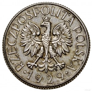 1 złoty, 1929, Warszawa; nominał w liściastym ornamenci...