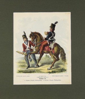 Michał STACHOWICZ (1768-1825), Wojsko Polskie Kościuszki, 1894