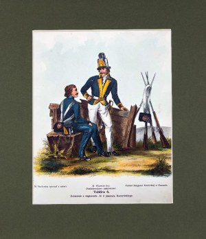 Michał STACHOWICZ (1768-1825), Wojsko Polskie Kościuszki, 1894