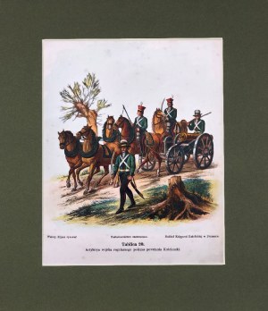 Michał STACHOWICZ (1768-1825), Wojsko Polskie Kościuszki, 1894