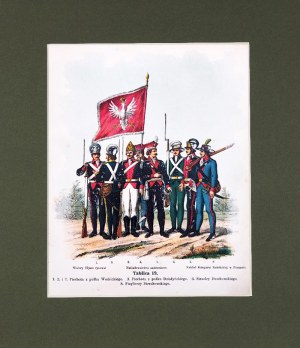 Michał STACHOWICZ (1768-1825), Wojsko Polskie Kościuszki, 1894