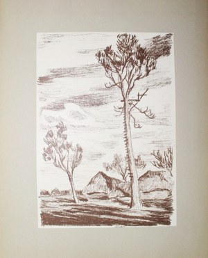 Stanisław Kamocki (1875 - 1944), Stanowisko obserwacyjne I,1934