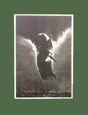 Józef GIELNIAK (1932 - 1972), Improwizacja dla Grażynki VI, cynkotypia