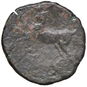 Greek Coins - § NUMIDIA Massinissa e successori (208-148 a.C.) AE - D/...