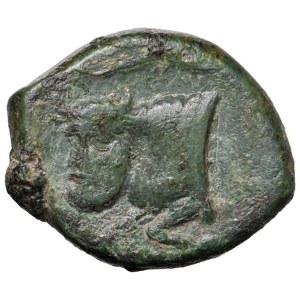 Greek Coins - § CAMPANIA Neapolis (325-320 a.C.) AE - D/ Testa di Apol...