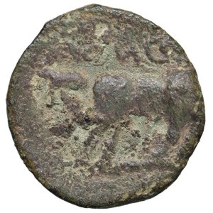 Greek Coins - § CAMPANIA Irnthi (250-225 a.C.) AE - D/ Testa di Apollo...