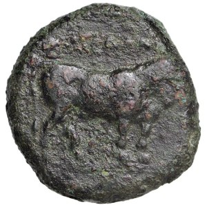 Greek Coins - § LUCANIA Poseidonia (350-290 a.C) AE - D/ Toro rivolto ...