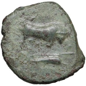 Greek Coins - § LUCANIA Poseidonia (350-290 a.C) AE - D/ Toro caricant...