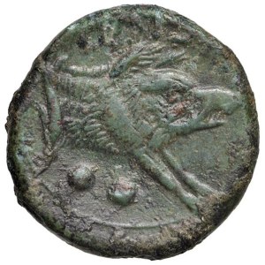Greek Coins - § LUCANIA Paestum (280-201 a.C.) Sestante - D/ Testa di ...