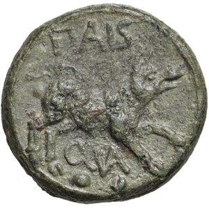 Greek Coins - § LUCANIA Paestum (280-201 a.C.) Sestante - D/ Testa di ...