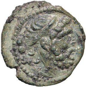 Greek Coins - § LUCANIA Paestum (280-201 a.C.) Quadrante - D/ Testa di...