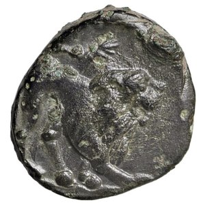 Greek Coins - § LUCANIA Paestum (280-201 a.C.) Semisse (?) - D/ Leone ...