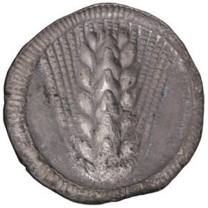 Greek Coins - § LUCANIA Metapontion (540-530 a.C.) Statere - D/ Spiga ...