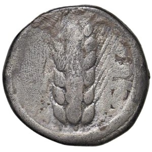 Greek Coins - § LUCANIA Metapontion (540-530 a.C.) Statere - D/ Spiga....