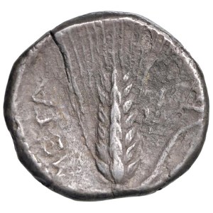 Greek Coins - § LUCANIA Metapontion (320-280 a.C.) Statere - D/ Testa ...