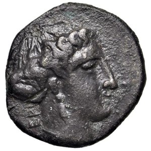 Greek Coins - § BRUTTIUM Terina (400-356 a.C) AE - D/ Testa di ninfa T...