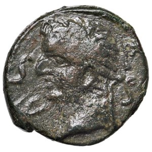 Imperial Roman Coins - § Tiberio (14-37) Paestum - AE - RPC I 618 AE (...