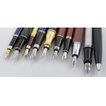 Pens - Multiple lot: 10 various fountain pens. Items in excellent...