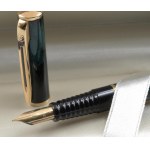 Pens - WATERMAN - Fountain pen - Colorful body and cap in ne...