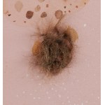 Basia Bańda (b. 1980, Zielona Góra), Dandruff, 2008