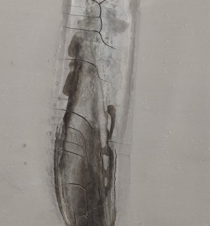 Bartosz Kokosiński (ur. 1984, Siewierz), Bez tytułu, 2014