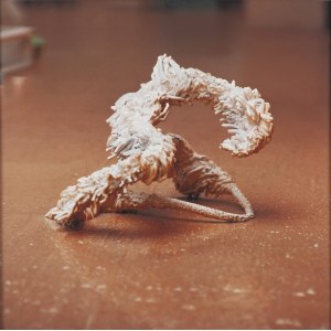 Norman Leto (geb. 1980, Bochnia), aus der Serie Klumpen des Lebens, 2009