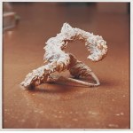 Norman Leto (geb. 1980, Bochnia), aus der Serie Klumpen des Lebens, 2009