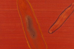 Jarek Jeschke (ur. 1977, Kożuchów), Bez tytułu, 2008