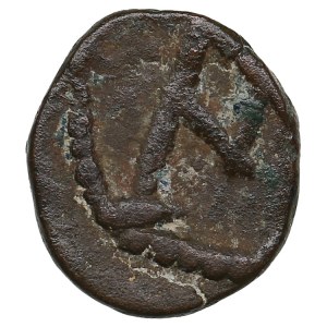 Vandal Kingdom (Carthage) Æ Nummus ND - Hilderic (523-530)