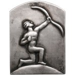 Finland Silver Prize Plaquette 1937 - World Championship Competitions