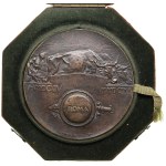 Italy Bronze Cast Medal 1911 - 50th Anniversary of the Proclamation of the Kingdom of Italy - Victor Emmanuel III (1900-1944)