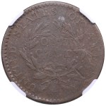 USA (Philadelphia mint) 1 Cent 1794 - NGC VG 10 BN