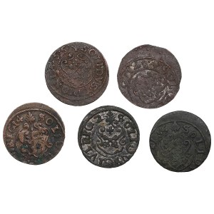 Groupe de faux billets de Suceava - Æ Schilling / Solidus (5)