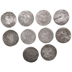 Groupe de pièces : Lituanie, Grand-Duché (Vilnius) ½ Groat / Półgrosz (10)