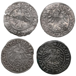 Groupe de pièces : Lituanie, Grand-Duché (Vilnius) ½ Groat / Półgrosz (4)