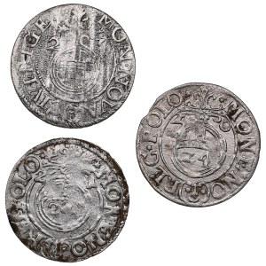 Groupe de pièces : Commonwealth polono-lituanien, ville de Riga (3)