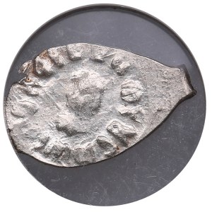 Russia (Moscow) AR Denga ND - Ivan III Vasilievich (1462-1505) - NGC MS 63