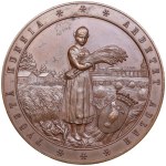 Finland / Russia Bronze Prize Medal 1894 - 10th Agricultural Exhibition in Vaasa - Alexander III (1881-1894)