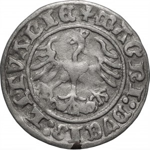 Zygmunt I Stary (1506-1548) - Półgrosz 1511 - Wilno