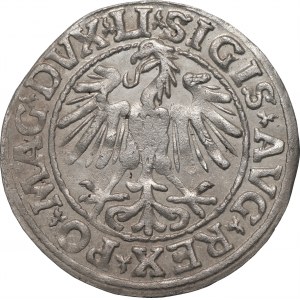 Zygmunt II August (1545-1572) - Półgrosz 1547 - Wilno