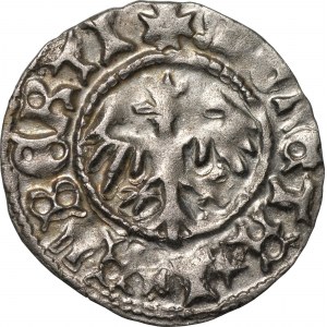 Jan I Olbracht (1492–1501) - Półgrosz koronny -